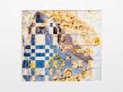 Shell-10 - Janice Gursanscky