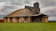 Silo - Guy Machan