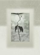 Simply-framed - ... ...