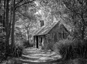 Slab Hut - Judith Bennett