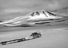 Snowscape - Judith Bennett