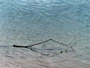 Solitary - Dawn Zandstra