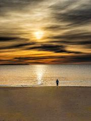 Solitary Sunrise - Steve Mullarkey