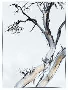 Solitude-#1 - ... ...