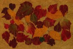 Sombre autumn - Maureen Rogers