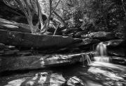 Somersby-Falls-2-MONO-JaniceG - Janice Gursanscky