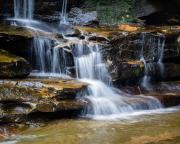 Somersby Bottom Falls -210310-58198-HDR - Donald Gould