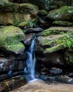 Somersby Bottom Falls -210310-58210-HDR - Donald Gould