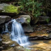 Somersby Bottom Falls -210310-58253 - Donald Gould