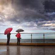 South Curly Storm - Judith Bennett