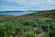 Spring on North Head - Christo van Rensburg