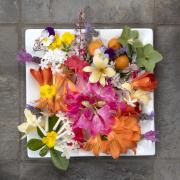 Spring platter - Maureen Rogers