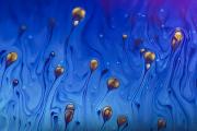 Staged HMiles Bubbles 1 - ... ...