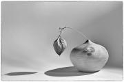 Staged MRogers Bowl and seed - ... ...