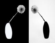 Staged RCarter black mirror - ... ...