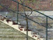 Staircase - Maureen Rogers