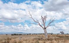 Standing alone - Robyn Miller