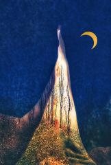 Starry Starry Night - Margaret Frankish