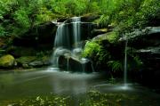 Suburban-Waterfall special merit - ... ...