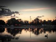 SundaySunrise-with-Pelican - Ray Seaver