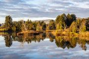 Sunrise Putta Bucca Wetlands-210522-61986 - Donald Gould