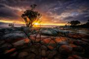 Sunrise over Bay of Fires - Maria Mazo