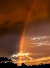 Sunset Rainbow - Alan Sutton