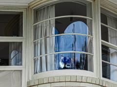 Superior Cat - Sue Lawson