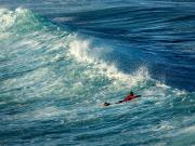 Surfer - ... ...