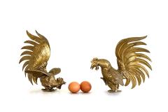 Surprised roosters - Maureen Rogers