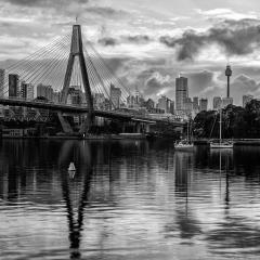Sydney Skyline from Rozelle Bay - Fujiko Watt