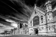 Sydney Uni #2 - Steve Mullarkey