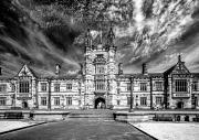 Sydney Uni #3 - Steve Mullarkey