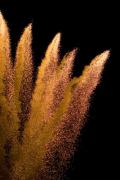 THAR SHE BLOWS 400 - ... ...