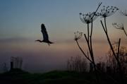 Take off - ... ...