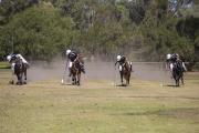 Tent Pegging - Jan Glover