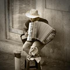 The Accordianist - Alison Seccombe