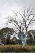 The Blue Tree - Nigel Streatfield