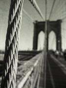 The Bridge - ... ...