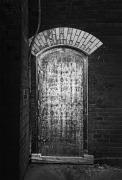 The Entrance - John Pettett