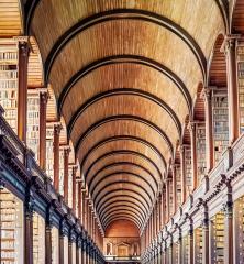 The Library - Dublin - David Ross