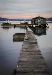 The Oyster Shack - Gail MacDiarmid
