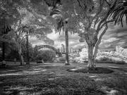 The Park in Infra-Red - Steve Mullarkey