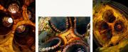 The Portal Axes of time and space fuse at the point of choice Michael Haylen Nov 2007 - ... ...