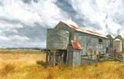 The Woolshed Wal Lamberth - ... ...