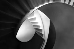 The 'case for shapes - Shane Clarkson