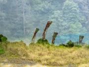 The invasion - Leigh Hall