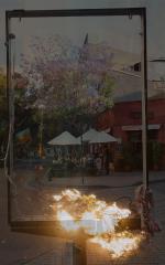The morning after - Robyn Miller
