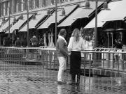 They must be cold - Maureen Rogers
