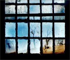 Through  the Window - Dawn Zandstra